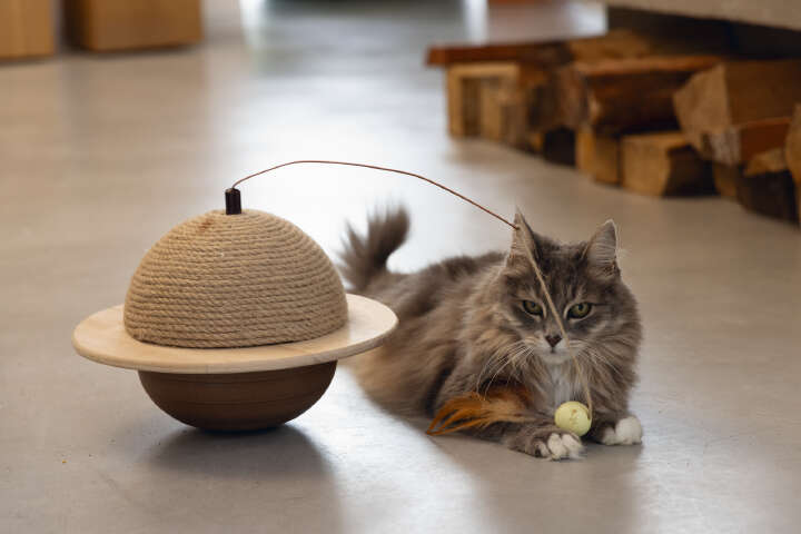 Designed by Lotte Holz-Kratzball Wiggly